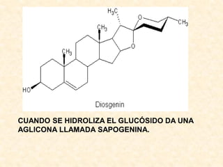 CUANDO SE HIDROLIZA EL GLUCÓSIDO DA UNA
AGLICONA LLAMADA SAPOGENINA.
 