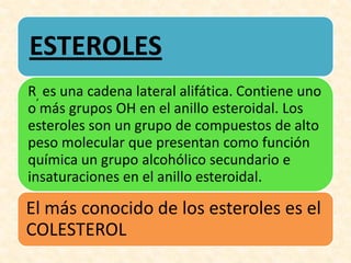 ESTEROLES
R, es una cadena lateral alifática. Contiene uno
o más grupos OH en el anillo esteroidal. Los
esteroles son un grupo de compuestos de alto
peso molecular que presentan como función
química un grupo alcohólico secundario e
insaturaciones en el anillo esteroidal.

El más conocido de los esteroles es el
COLESTEROL
 