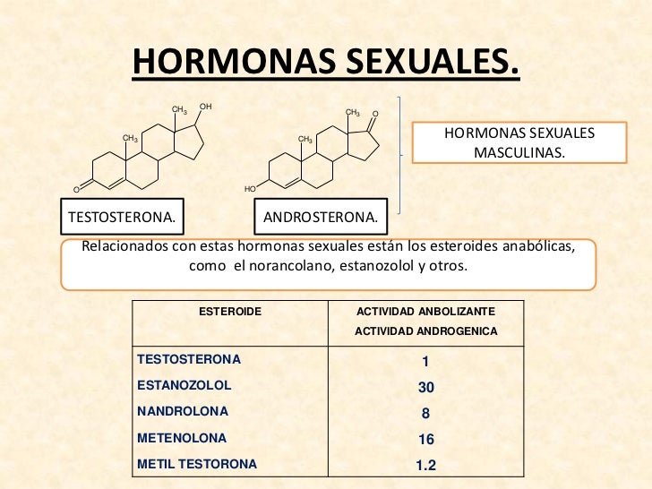 hormonas sexuales masculinas que derivan del colesterolComo la Testosterona y la Angrogesterona.