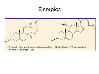 Ejemplos

                                                            OH




                            H
OH                                               OH


     3-hidroxi-14-pregn-11-eno (nombre incompleto)   3,11-dihidroxi-5,7-colestandieno
     3-hidroxi-14-pregn-11-eno
 