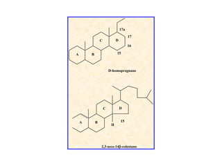 17a
                                       17
                C            D
                                       16

A       B                    15



                        D-homopregnano




                    C            D


    A       B                    15
                         H




                2,3-seco-14-colestano
 
