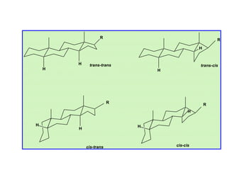 R
                                                      R

                                              H


        H    trans-trans                      trans-cis
    H                           H




                        R
                                                  R
                                          H


H                           H
        H



            cis-trans               cis-cis
 