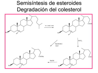 Semisíntesis de esteroides
          Degradación del colesterol

                                                                      COOH
                            ox. cond. cont.



PO                                              PO
          P*
                                                         P*



                                                              SOCl2

                                              MeOH/HCl
                                              -H2O




                    COOMe                                             COCl

                                    MeOH


     PO                                          PO
               P*                                        P*
 