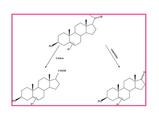 O




          PO
                        P*




                                  rep
                                     e ti
                                      ció
               Lieben




                                         n
                COOH
                                                 O




PO                           PO
     P*                                     P*
 