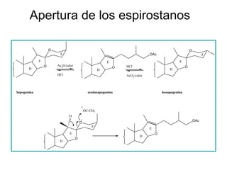 Apertura de los espirostanos

                     O                                                                                      O
                           F                                                    OAc                                   F
             E                                             E                                       E
                 O       Ac2O/calor                                HCl                                  O
       D                                                       O
                                                       D                                     D
                         HCl                                       AcO2/calor



Sapogenina                                      seudosapogenina                         isosapogenina



                                          +
                                              OC-CH3
                                H
                                                                                                                OAc
                                          O
                                                  F
                                                                                E
                                E                                                   O
                                                                           D
                                      O
                          D
 