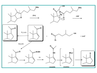 : OH
                      OAc                                                         OAc
                                               O
                                                        O

                   [Ox]                                     H                       -
                                                                              -OH
        O                                                       O




O                                O

        H2 (cat)
                                           O                                 OH
                                     +                                                  + AcO-

                                                   O-

    NH2OH
                                         O
                                               C
    O                     N-OH
                                               NH                     NH3+                       O

                            H+




                                         enamida                enamina
 