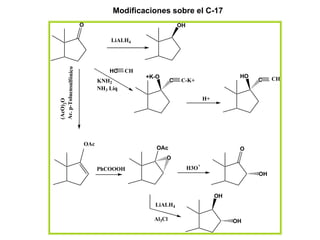 Modificaciones sobre el C-17
                        O                                  OH

                                  LiALH4




Ac. p-Toluensulfónico             HC    CH
                                             +K-O                                 HO        CH
                              KNH2                     C   C-K+                        C
                              NH3 Liq
                                                                       H+
(AcO)2O




                        OAc
                                                OAc                               O
                                                    O
                              PhCOOOH                           H3O+
                                                                                       OH


                                                                            OH
                                               LiALH4

                                               Al3Cl                             OH
 