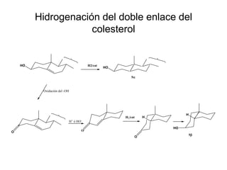 Hidrogenación del doble enlace del
                     colesterol


    HO                                   H2/cat
                                                  HO

                                                          5



          Oxidación del -OH




                                                                         H
                                                       H2/cat   H
                              H+ ó HO-
                                                                    HO
O                                    O
                                                                             5
                                                            O
 