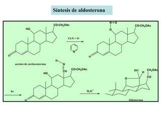 Síntesis de aldosterona

                                                                      N=O
                                      CO-CH2OAc                                     CO-CH2OAc
                  HO                                                  O


                                                Cl-N = O



                                                   N
O                                                             O
                                       H
         acetato de cortiscosterona        N
                                                  CO-CH2OAc                         HO        CH2OAc
                                           CH                                             H
                                HO
                                                                                              CO
                                                                            O


                                                                  +
    h                                                     H 3O


                 O                                                              Aldosterona
 
