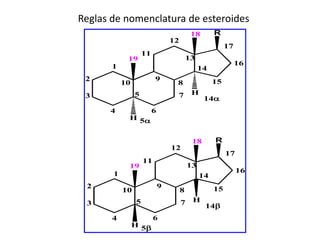 Reglas de nomenclatura de esteroides
                                           18       R
                                 12
                                                         17
                    11
            19                            13
       1                                                      16
                                               14
 2                       9                          15
           10                     8
 3              5                 7        H
                                                14
      4                  6
            H 5


                                           18       R
                                 12
                                                         17
                    11
            19                            13
       1                                                      16
                                               14
 2                           9                      15
           10                         8
 3              5                     7    H
                                                14
       4                 6
                H 5
 