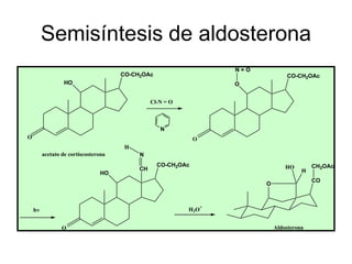 Semisíntesis de aldosterona
                                                                     N=O
                                     CO-CH2OAc                                     CO-CH2OAc
                 HO                                                  O


                                               Cl-N = O



                                                  N
O                                                            O
                                      H
        acetato de cortiscosterona        N
                                                 CO-CH2OAc                         HO        CH2OAc
                                          CH                                             H
                               HO
                                                                                             CO
                                                                           O


                                                                 +
    h                                                     H 3O


                O                                                              Aldosterona
 