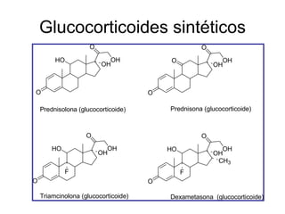 Glucocorticoides sintéticos
                     O                              O
         HO                OH             O               OH
                         OH                             OH



O                                     O

    Prednisolona (glucocorticoide)        Prednisona (glucocorticoide)



                    O                               O
        HO                 OH             HO              OH
                         OH                             OH
                                                         CH3
              F                                F
O                                     O

    Triamcinolona (glucocorticoide)       Dexametasona (glucocorticoide)
 
