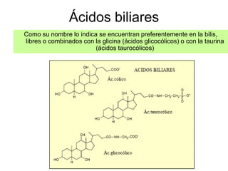 Ácidos biliares
Como su nombre lo indica se encuentran preferentemente en la bilis,
libres o combinados con la glicina (ácidos glicocólicos) o con la taurina
                        (ácidos taurocólicos)
 