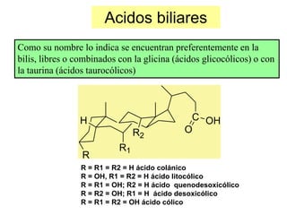Acidos biliares
Como su nombre lo indica se encuentran preferentemente en la
bilis, libres o combinados con la glicina (ácidos glicocólicos) o con
la taurina (ácidos taurocólicos)




                H                            C OH
                                R2          O
                           R1
                 R
                R = R1 = R2 = H ácido colánico
                R = OH, R1 = R2 = H ácido litocólico
                R = R1 = OH; R2 = H ácido quenodesoxicólico
                R = R2 = OH; R1 = H ácido desoxicólico
                R = R1 = R2 = OH ácido cólico
 