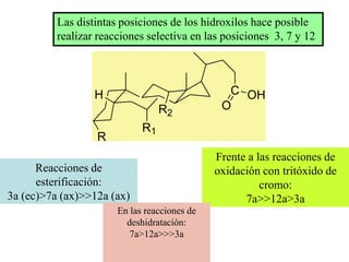 Las distintas posiciones de los hidroxilos hace posible
          realizar reacciones selectiva en las posiciones 3, 7 y 12




                  H                             C OH
                                  R2           O
                             R1
                  R
                                              Frente a las reacciones de
      Reacciones de                           oxidación con tritóxido de
      esterificación:                                   cromo:
3a (ec)>7a (ax)>>12a (ax)                           7a>>12a>3a
                       En las reacciones de
                         deshidratación:
                          7a>12a>>>3a
 