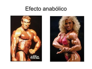 Efecto anabólico
 