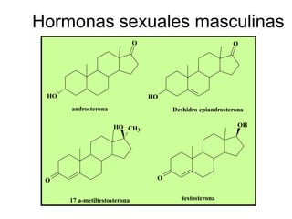 Hormonas sexuales masculinas
                               O                            O




 HO                                HO
      androsterona                      Deshidro epiandrosterona

                      HO CH3                                  OH




 O                                  O


      17 a-metiltestosterona               testosterona
 