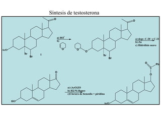 Síntesis de testosterona
                           O
                                                                                O




                                    -
                               a) HO                                                a) degr. C-20 y C-21
                               b)                                                   b) Zn
                                                                                    c) Hidrólisis suave
AcO                               O            O
                                                       O
           Br        I
                Br                                                    Br
                                                                           Br
                                                                                            O
                                                                                                     Ph
                                                                                                C
                           O
                                                                                                O



                                        a) (AcO)2O
                                        b) H2/Ni Raney
                                        c)Cloruro de benzoilo + piridina

      HO
                                                                       AcO
 
