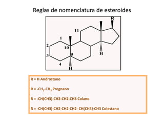 Reglas de nomenclatura de esteroides
                                          R

                            11
               1
        2
                   10
        3               5           H

               4
                    H

R = H Androstano

R = -CH2-CH3 Pregnano

R = -CH(CH3)-CH2-CH2-CH3 Colano

R = -CH(CH3)-CH2-CH2-CH2- CH(CH3)-CH3 Colestano
 