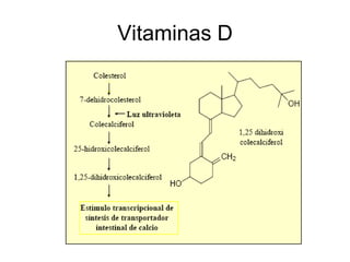Vitaminas D
 