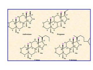 18       H                                                                              18
                              12                                                                                      12
                                                     17                                                                                       17
                 11                                                                                      11
         19                        13                                                            19                        13
    1                                                     16                                1                                                      16
                                        14                                                                                      14
2                     9                         15                            2                               9                          15
        10                     8                                                                10
                                                                                                         8
3            5                 7 H 14                                        3                      5                 7 H 14

    4                 6                                                                     4                 6
         H 5                                                                                    H 5
                              Androstano                                                                              Pregnano
                                                                    18                                                                                       18
                                                           12                                                                                       12
                                                                                  17                                                                                       17
                                                11                                                                                       11
                                        19                         13                                                               19                      13
                                   1                                                   16                                  1                                                    16
                                                                        14                                                                                       14
                          2                          9                       15                                   2                           9                       15
                                       10                      8                                                               10                       8
                          3                 5                  7 H 14                                            3                  5                  7 H 14

                                   4                 6                                                                     4                  6
                                            H 5                                                                                    H 5
                                                           Colano                                                                                   Colestano
 