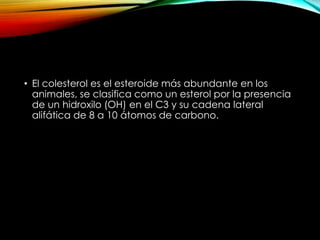 • El colesterol es el esteroide más abundante en los 
animales, se clasifica como un esterol por la presencia 
de un hidroxilo (OH) en el C3 y su cadena lateral 
alifática de 8 a 10 átomos de carbono. 
 