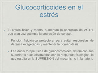 Glucocorticoides en el
estrés
El estrés físico y mental aumentan la secreción de ACTH,
que a su vez estimula la secreción de cortisol.
Función fisiológica protectora, para evitar respuestas de
defensa exageradas y mantener la homeostasis.
Las dosis terapéuticas de glucocorticoides sistémicos son
superiores a las alcanzadas con la respuesta fisiológica, lo
que resulta en la SUPRESIÓN del mecanismo inflamatorio
 