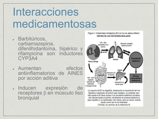 Interacciones
medicamentosas
Barbitúricos,
carbamazepina,
difenilhidantoína, hipérico y
rifampicina son inductores
CYP3A4
Aumentan efectos
antiinflamatorios de AINES
por acción aditiva
Inducen expresión de
receptores β en músculo liso
bronquial
 