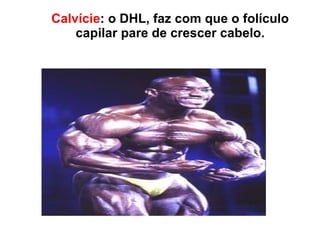 Calvície : o DHL, faz com que o folículo capilar pare de crescer cabelo. 