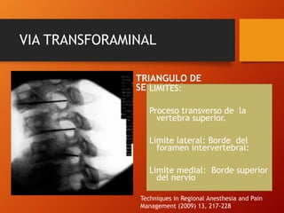 VIA TRANSFORAMINAL
TRIANGULO DE
SEGURIDADLIMITES:
Proceso transverso de la
vertebra superior.
Limite lateral: Borde del
foramen intervertebral:
Limite medial: Borde superior
del nervio
Techniques in Regional Anesthesia and Pain
Management (2009) 13, 217-228
 