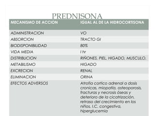 PREDNISONA
MECANISMO DE ACCION IGUAL AL DE LA HIDROCORTISONA
ADMINISTRACION VO
ABSORCION TRACTO GI
BIODISPONIBILIDAD 80%
VIDA MEDIA I hr
DISTRIBUCION RIÑONES, PIEL, HIGADO, MUSCULO.
METABILISMO HIGADO
EXCRECION RENAL
ELIMINACION ORINA
EFECTOS ADVERSOS Atrofia cortico adrenal a dosis
cronicas, miopatía, osteoporosis,
fracturas y necrosis óseas y
deterioro de la cicatrización,
retraso del crecimiento en los
niños, I.C. congestiva,
hiperglucemia
 