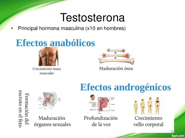 Las pastillas que suben la potencia para los hombres la farmacia