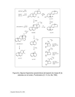 Alejandro Martínez M., 2002
R
XO
-XOH
R
M-XOH
-R
M+.
X=H
HO
m/z 273
-H2O
-CH3
[M-CH3]+
[M-AcOH-41]+ X=Ac
-CH3
m/z 145
R
H
-CH3
[M-XOH-15]+
m/z 213
m/z 300 si
insat. en C-22
X=H
m/z 314 si
insat. en C-24
X=H
m/z 328 si
insat. en C-25
X=H
-R
X=H[M-85]+
[M-111]+
m/z 255
Figura 6.b. Algunos fragmentos característicos del espectro de masas IE de
esteroles con el núcleo D5-androsteno (X = H, Ac, Me, TMS)
 
