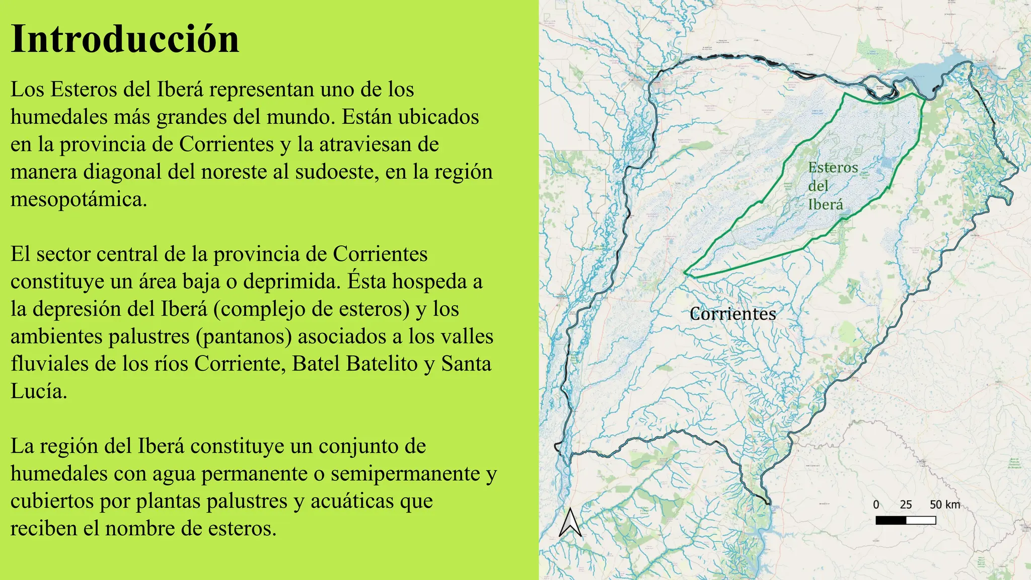 Estevos Esteros del Iberá trabajo final Geología | PPT