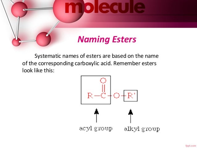 ester functional group