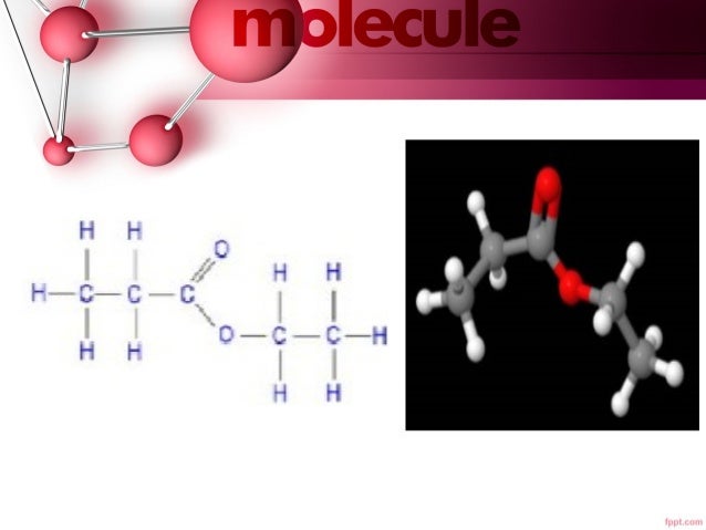 ester functional group