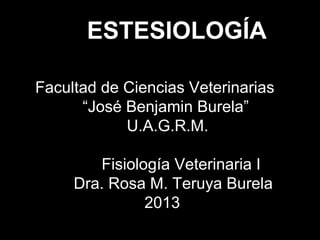 ESTESIOLOGÍA

Facultad de Ciencias Veterinarias
      “José Benjamin Burela”
            U.A.G.R.M.

        Fisiología Veterinaria I
     Dra. Rosa M. Teruya Burela
               2013
 