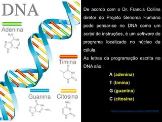 De acordo com o Dr. Francis Collins
diretor do Projeto Genoma Humano
pode pensar-se no DNA como um
script de instruções, é um software de
programa localizado no núcleo da
célula.
As letras da programação escrita no
DNA são:
A (adenina)
T (timina)
G (guanina)
C (citosina)
https://www.youtube.com/watch?v=XuUR7v7hkOQ
 