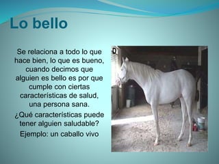 Lo bello
Se relaciona a todo lo que
hace bien, lo que es bueno,
cuando decimos que
alguien es bello es por que
cumple con ciertas
características de salud,
una persona sana.
¿Qué características puede
tener alguien saludable?
Ejemplo: un caballo vivo
 