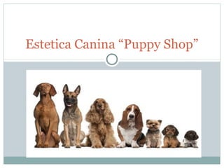 Estetica Canina “Puppy Shop”
 