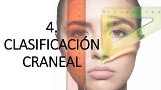 4.
CLASIFICACIÓN
CRANEAL
 