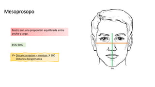 Mesoprosopo
Rostro con una proporción equilibrada entre
ancho y largo.
IF= Distancia nasion – menton X 100
Distancia bicigomatica
85%-90%
 