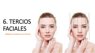 6. TERCIOS
FACIALES
 