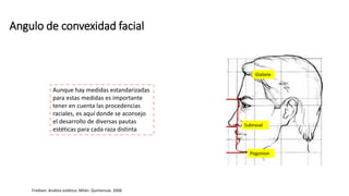 Glabela
Subnasal
Pogonion
Angulo de convexidad facial
Aunque hay medidas estandarizadas
para estas medidas es importante
tener en cuenta las procedencias
raciales, es aquí donde se aconsejo
el desarrollo de diversas pautas
estéticas para cada raza distinta
Frediani. Análisis estético. Milán. Quintensse. 2006
 