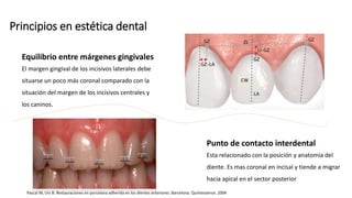 Principios en estética dental
Equilibrio entre márgenes gingivales
El margen gingival de los incisivos laterales debe
situarse un poco más coronal comparado con la
situación del margen de los incisivos centrales y
los caninos.
Punto de contacto interdental
Esta relacionado con la posición y anatomía del
diente. Es mas coronal en incisal y tiende a migrar
hacia apical en el sector posterior
Pascal M, Urs B. Restauraciones en porcelana adherida en los dientes anteriores. Barcelona. Quintessence. 2004
 