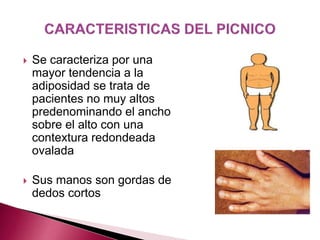  Se caracteriza por una 
mayor tendencia a la 
adiposidad se trata de 
pacientes no muy altos 
predenominando el ancho 
sobre el alto con una 
contextura redondeada 
ovalada 
 Sus manos son gordas de 
dedos cortos 
 