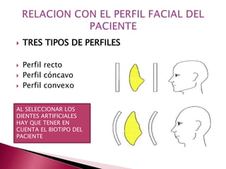  TRES TIPOS DE PERFILES 
 Perfil recto 
 Perfil cóncavo 
 Perfil convexo 
AL SELECCIONAR LOS 
DIENTES ARTIFICIALES 
HAY QUE TENER EN 
CUENTA EL BIOTIPO DEL 
PACIENTE 
 