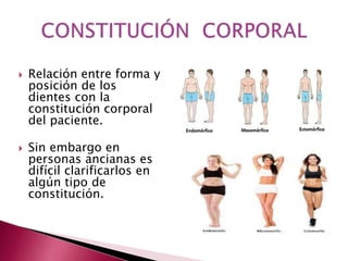  Relación entre forma y 
posición de los 
dientes con la 
constitución corporal 
del paciente. 
 Sin embargo en 
personas ancianas es 
difícil clarificarlos en 
algún tipo de 
constitución. 
 