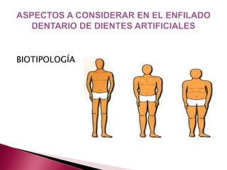 BIOTIPOLOGÍA 
 