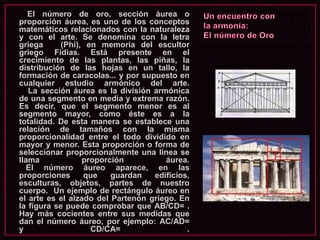El número de oro, sección áurea o
proporción áurea, es uno de los conceptos
matemáticos relacionados con la naturaleza
y con el arte. Se denomina con la letra
griega (Phi), en memoria del escultor
griego Fidias. Está presente en el
crecimiento de las plantas, las piñas, la
distribución de las hojas en un tallo, la
formación de caracolas... y por supuesto en
cualquier estudio armónico del arte.
La sección áurea es la división armónica
de una segmento en media y extrema razón.
Es decir, que el segmento menor es al
segmento mayor, como éste es a la
totalidad. De esta manera se establece una
relación de tamaños con la misma
proporcionalidad entre el todo dividido en
mayor y menor. Esta proporción o forma de
seleccionar proporcionalmente una línea se
llama proporción áurea.
El número áureo aparece, en las
proporciones que guardan edificios,
esculturas, objetos, partes de nuestro
cuerpo. Un ejemplo de rectángulo áureo en
el arte es el alzado del Partenón griego. En
la figura se puede comprobar que AB/CD= .
Hay más cocientes entre sus medidas que
dan el número áureo, por ejemplo: AC/AD=
y CD/CA= .
 